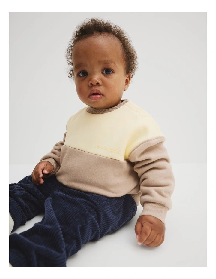 Organically Grown Cotton Spliced Sweat in Mushroom image 1