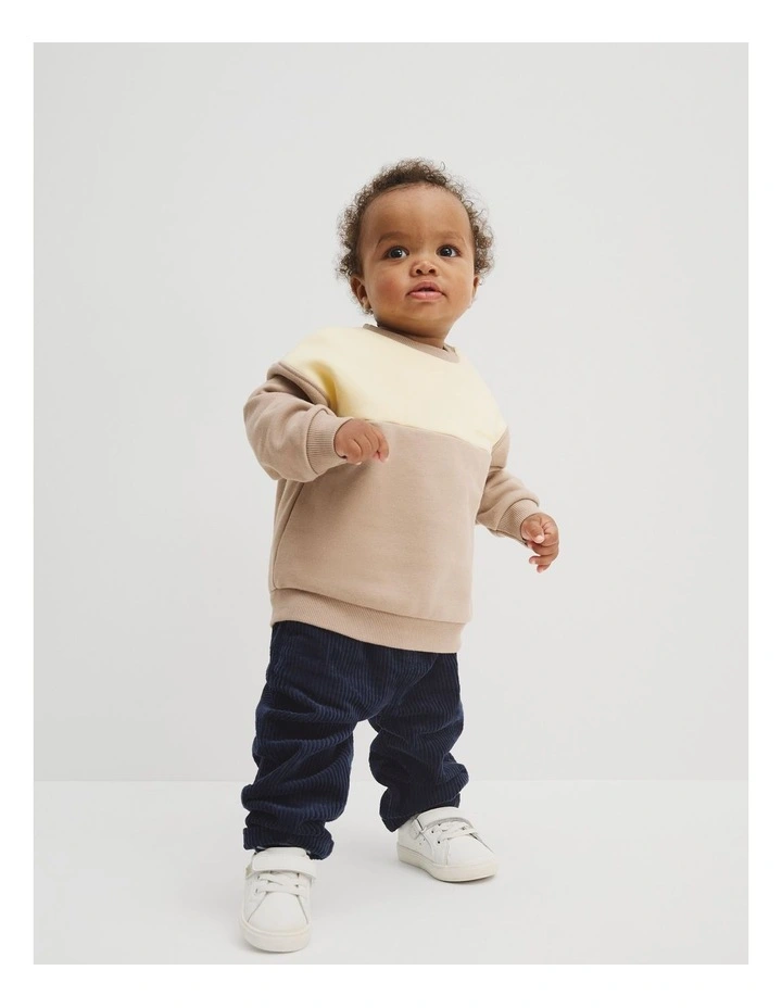 Organically Grown Cotton Spliced Sweat in Mushroom image 2