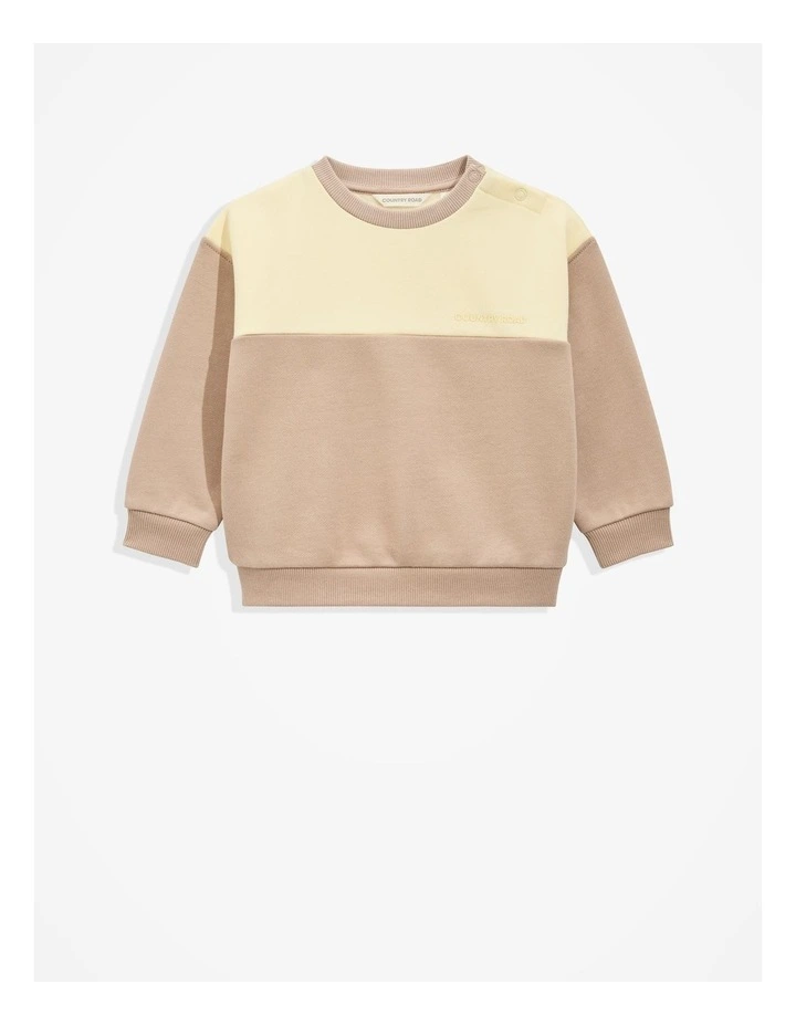 Organically Grown Cotton Spliced Sweat in Mushroom image 4