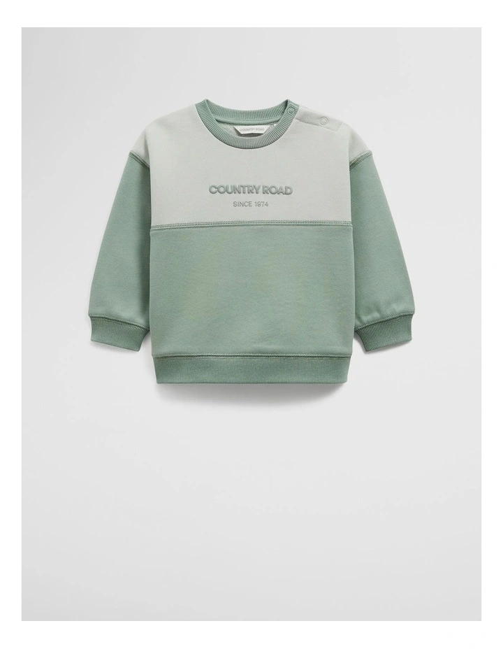 Australian Cotton Spliced Logo Sweat in Fern image 1