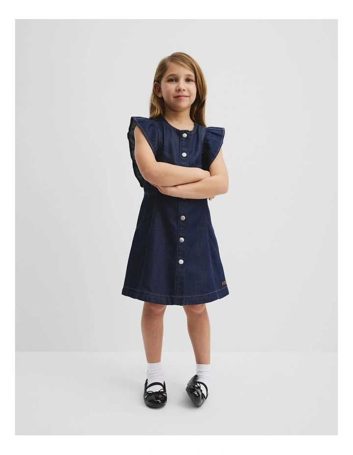 Denim Frill Dress in Indigo Rinse image 1