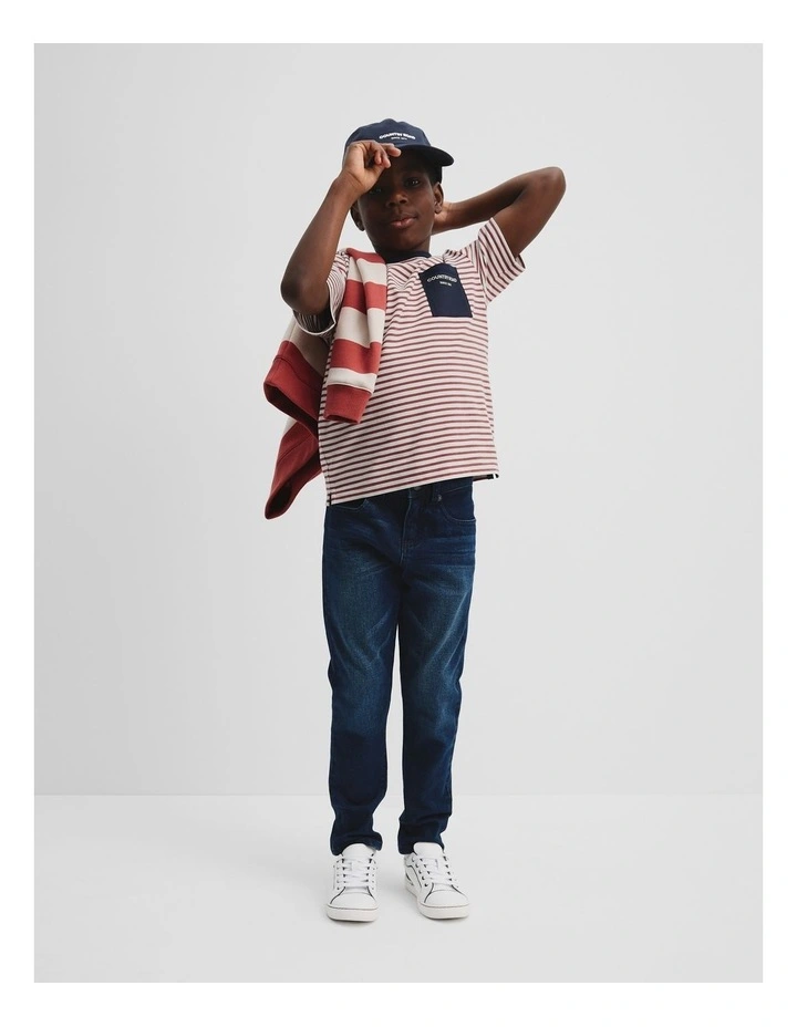 Organically Grown Cotton Pocket T-Shirt in Brick Stripe image 1