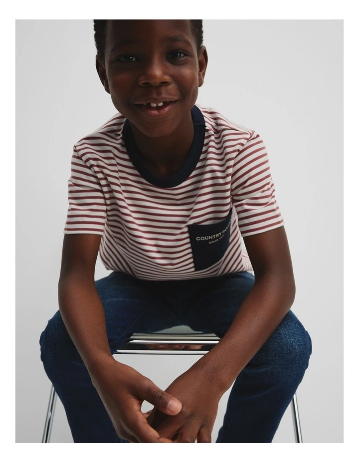 Organically Grown Cotton Pocket T-Shirt in Brick Stripe image 2