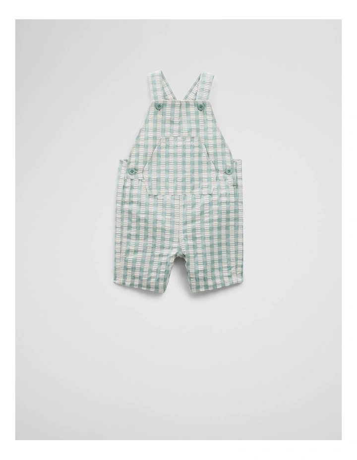 Check Overall in Fern image 1