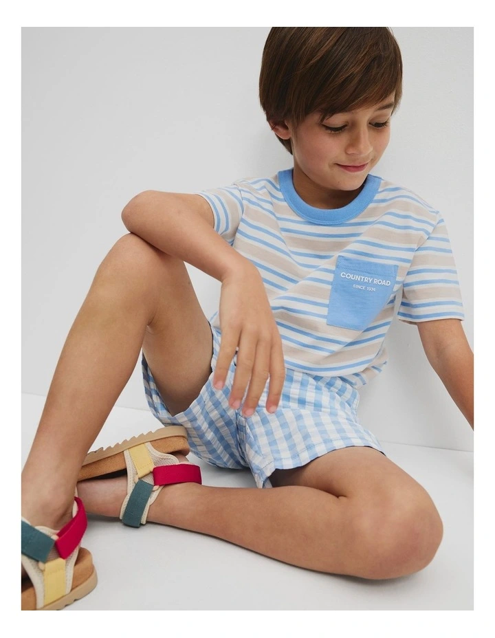 Pocket T-Shirt in Arctic Blue Stripe image 1