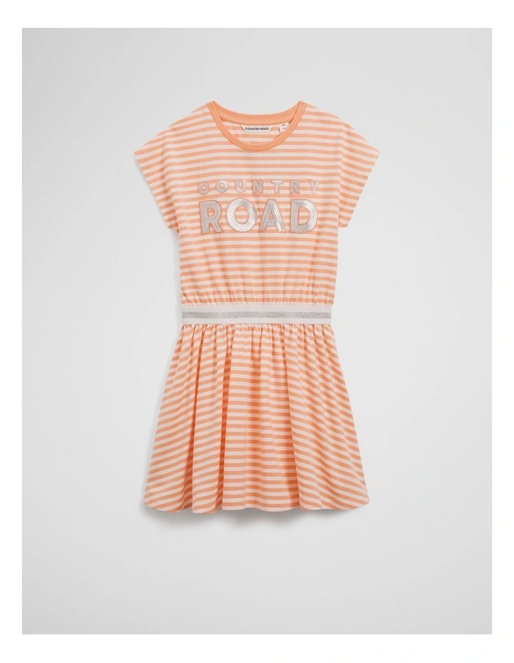 Cotton Logo T-Shirt Dress in Melon Stripe image 1