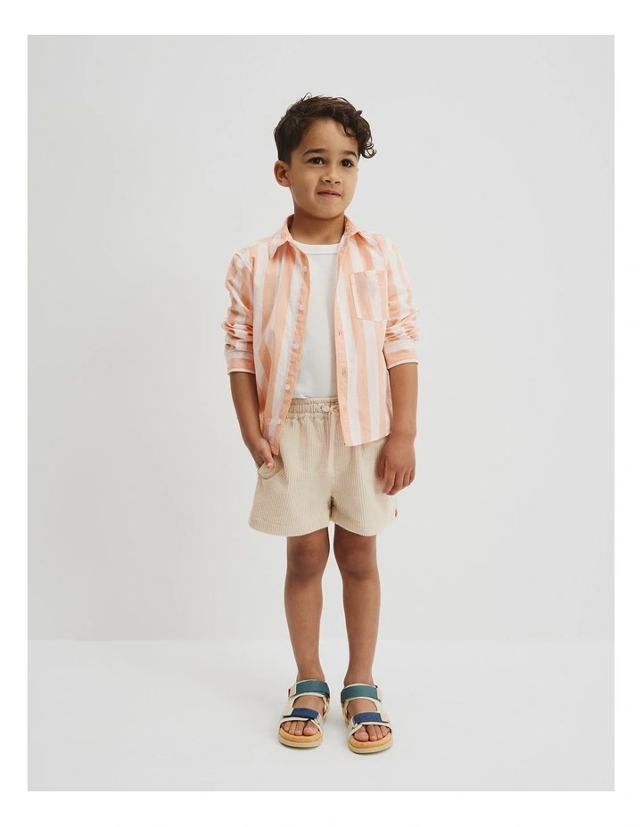 Organically Grown Cotton Blend Shirt in Papaya Stripe image 1