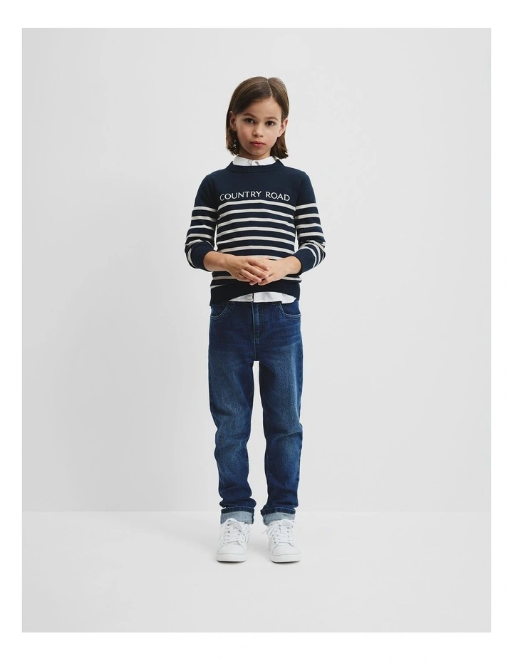 Cotton Stripe Logo Knit in Navy image 2