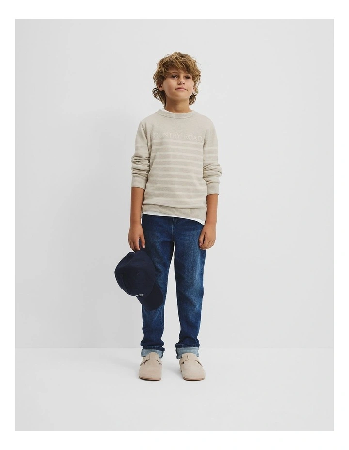 Cotton Stripe Logo Knit in Stone Marle image 1