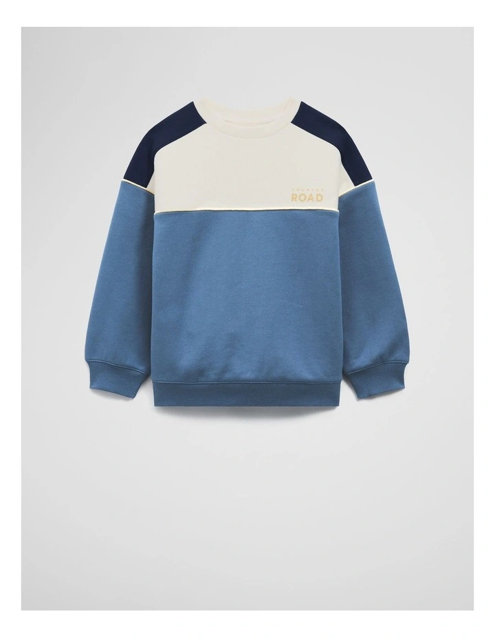 Australian Cotton Spliced Sweat in Multi image 1