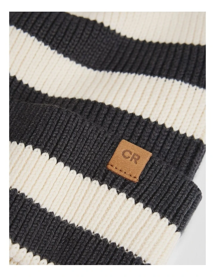 Organically Grown Cotton Blend Stripe Knit Beanie in Charcoal image 2