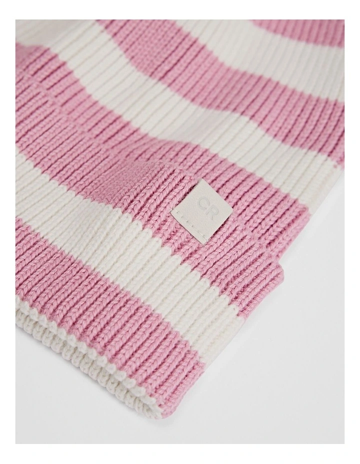 Organically Grown Cotton Blend Stripe Knit Beanie in Berry image 2