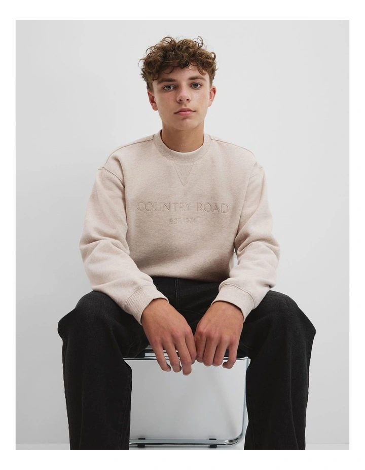 Teen Cotton Logo Crew Neck Sweat in Stone image 2