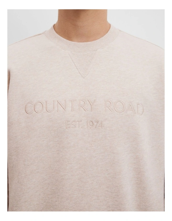 Teen Cotton Logo Crew Neck Sweat in Stone image 3