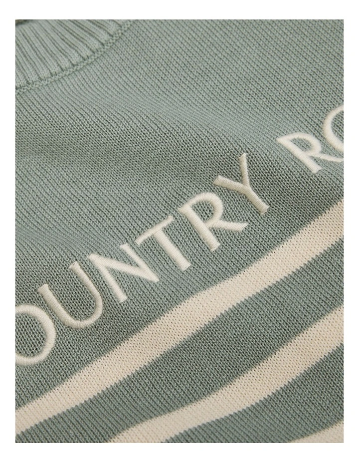Cotton Stripe Logo Knit in Fern image 2