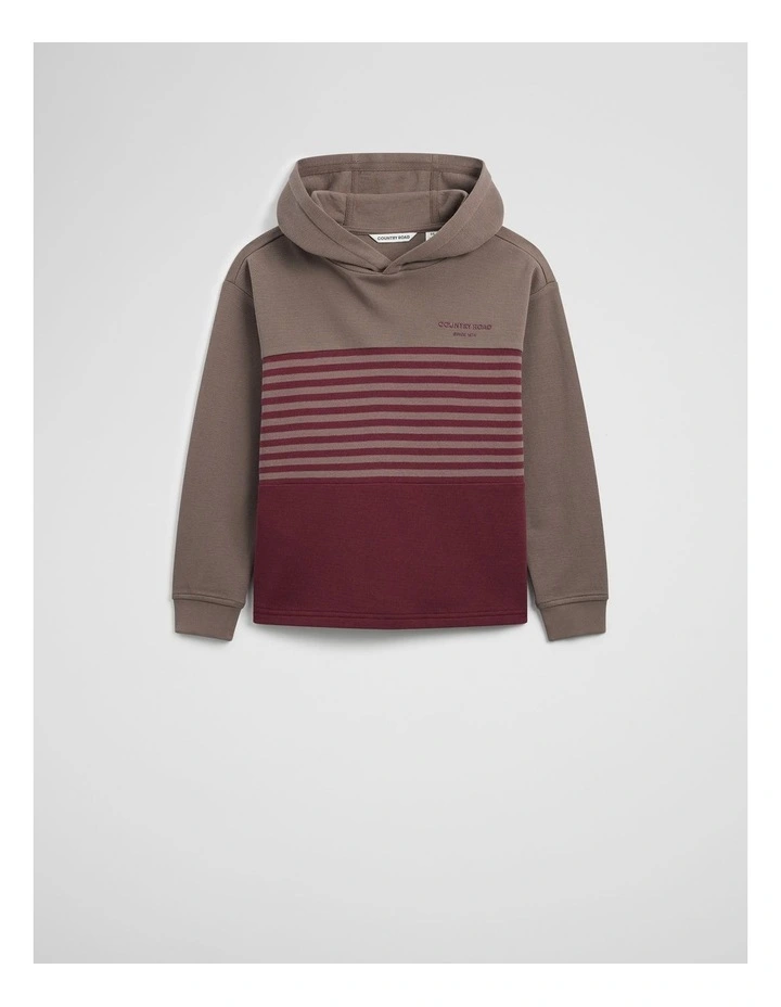 Hooded Block Stripe T-shirt in Garnet image 4