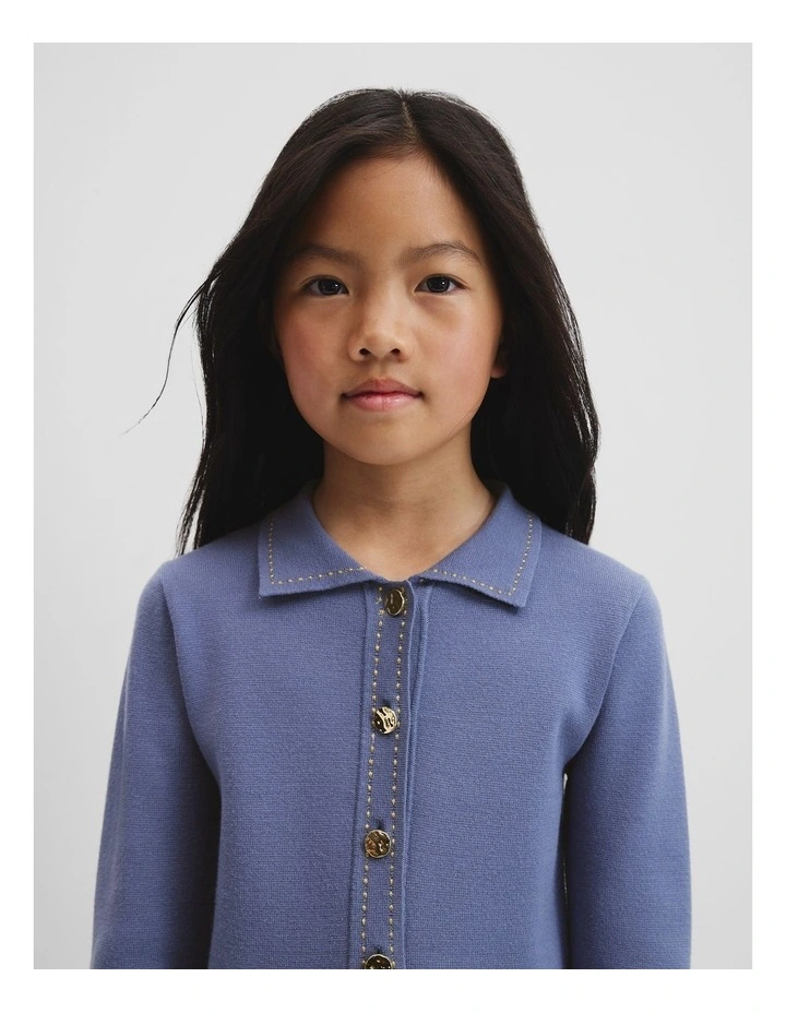 Metallic Collared Knit Dress in Steel Blue image 2