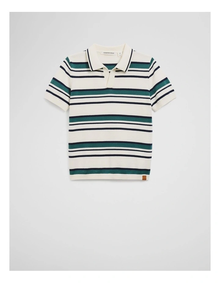 Stripe Knit Polo in Pine image 4
