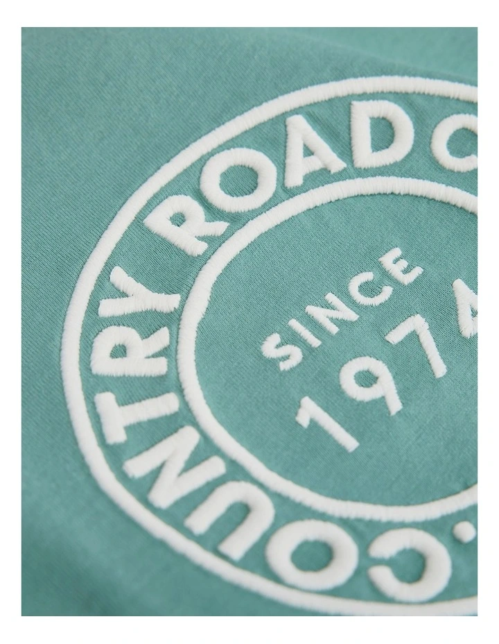 Australian Cotton Oversized Logo T-shirt in Blue Gum image 3