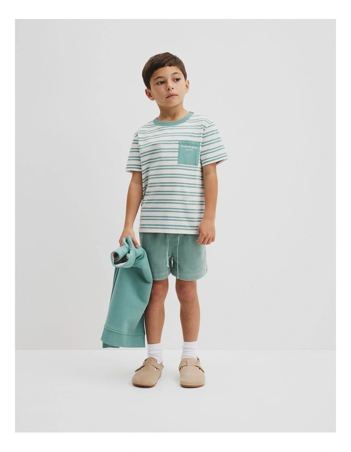 Organically Grown Cotton Country Road Pocket T-shirt in Blue Gum Stripe image 1