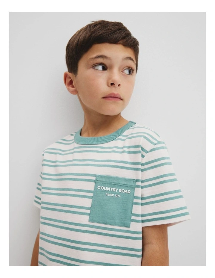 Organically Grown Cotton Country Road Pocket T-shirt in Blue Gum Stripe image 2