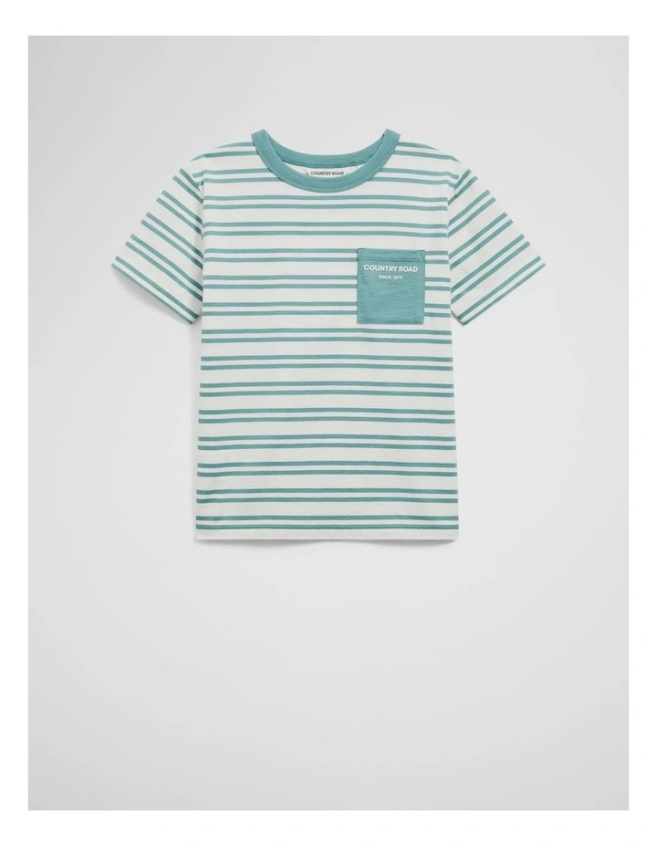 Organically Grown Cotton Country Road Pocket T-shirt in Blue Gum Stripe image 4