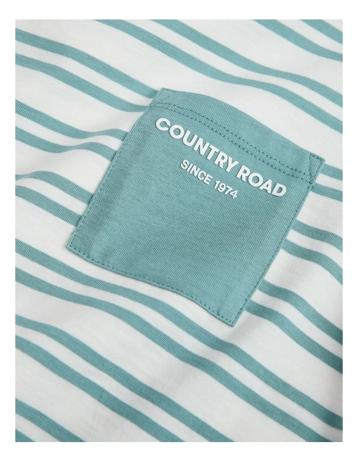 Organically Grown Cotton Country Road Pocket T-shirt in Blue Gum Stripe image 5