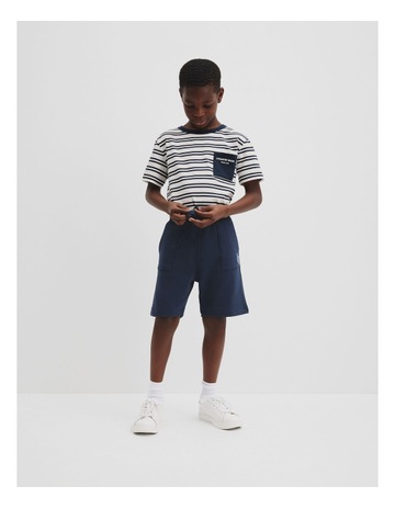 Navy Stripe colour