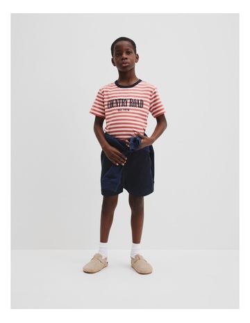 Faded Red Stripe colour