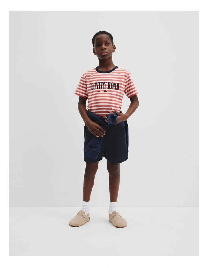 Australian Cotton Heritage T-shirt in Faded Red Stripe image 1