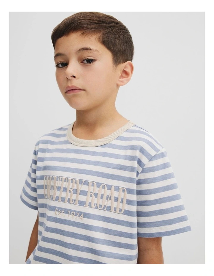 Australian Cotton Heritage T-shirt in Slate Stripe image 2