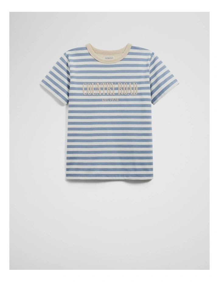 Australian Cotton Heritage T-shirt in Slate Stripe image 4