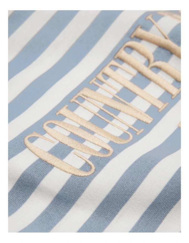 Australian Cotton Heritage T-shirt in Slate Stripe image 5