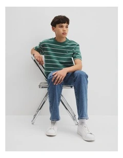 Teen Australian Cotton Relaxed Stripe T-shirt in Pine Green