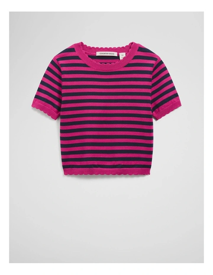 Stripe Knit Top in Raspberry image 1