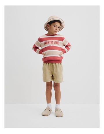 Faded Red Stripe colour