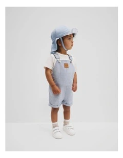 Railroad Overall in Slate Blue