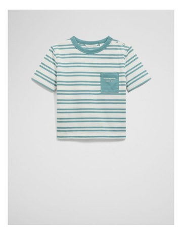Blue Gum Stripe colour