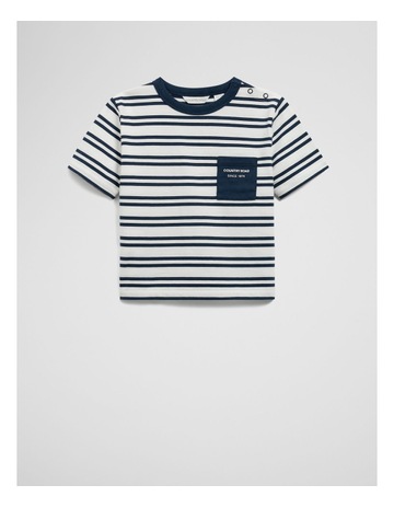 Navy Stripe colour