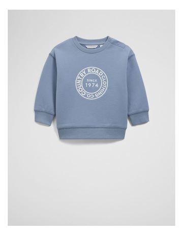 SLATE BLUE colour