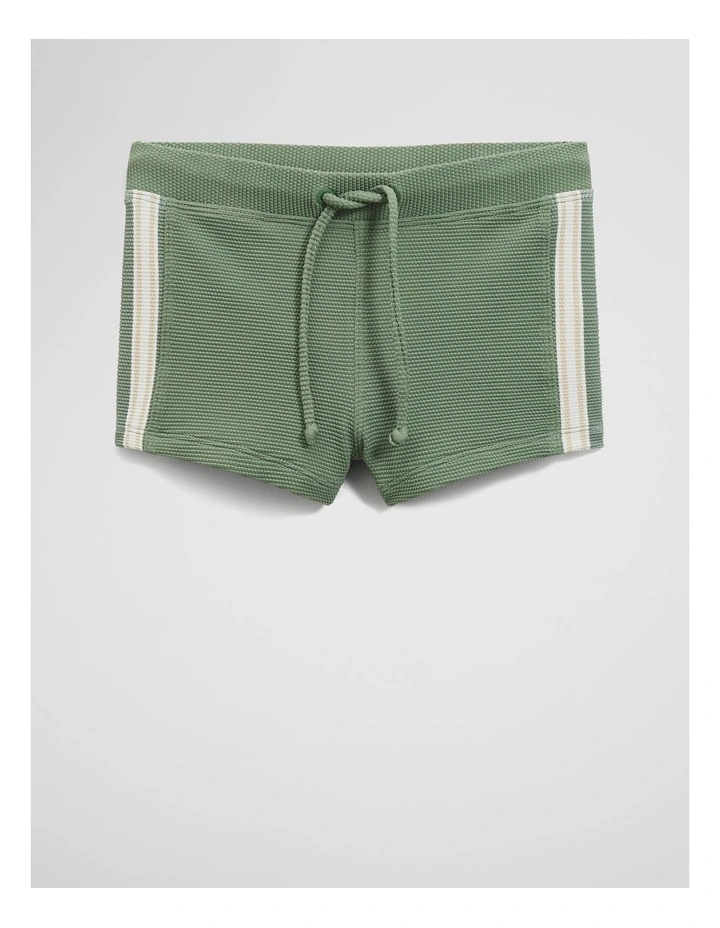 Branded Swim Short in Sage image 1