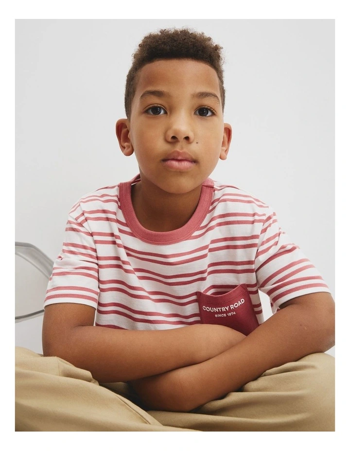 Organically Grown Cotton Country Road Pocket T-shirt in Faded Red Stripe image 2