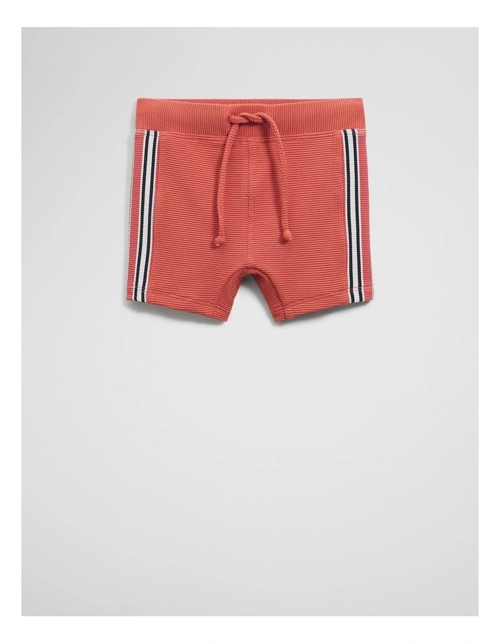 Branded Swim Short in Faded Red image 1