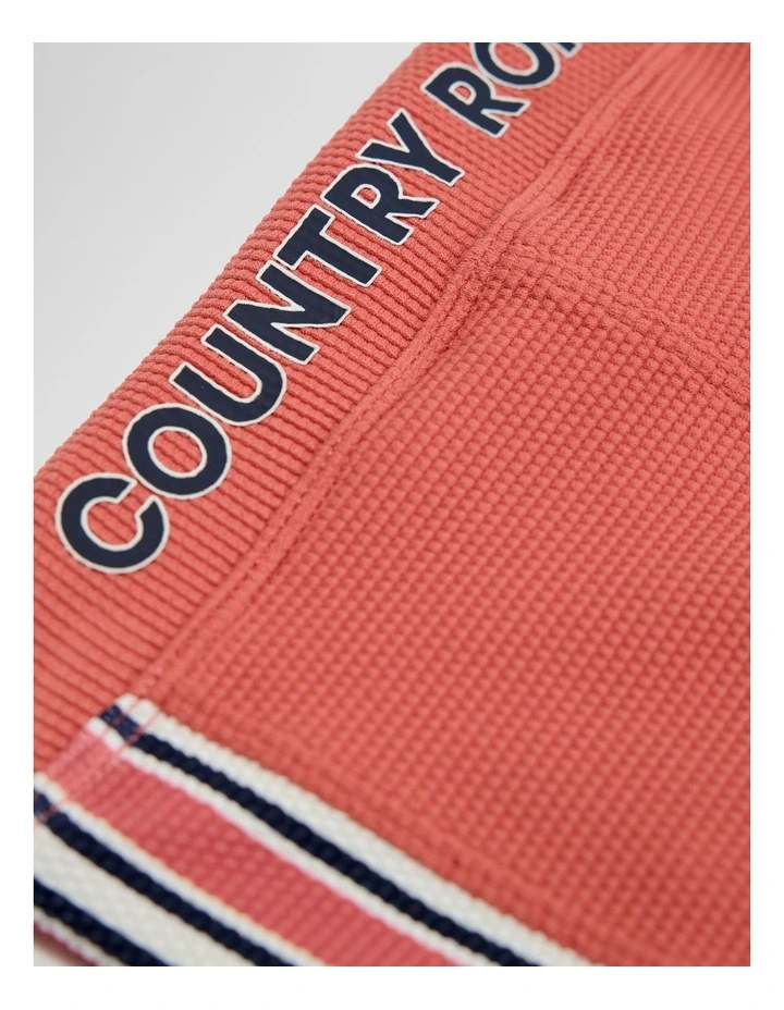 Branded Swim Short in Faded Red image 2