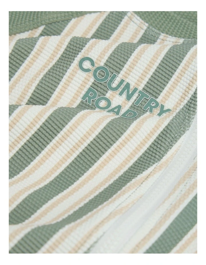 Stripe Logo Swimsuit in Sage image 2