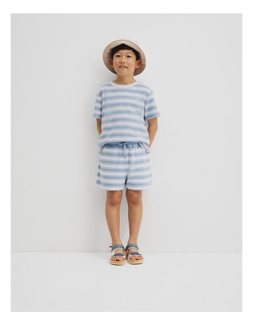 Ice Blue Stripe colour
