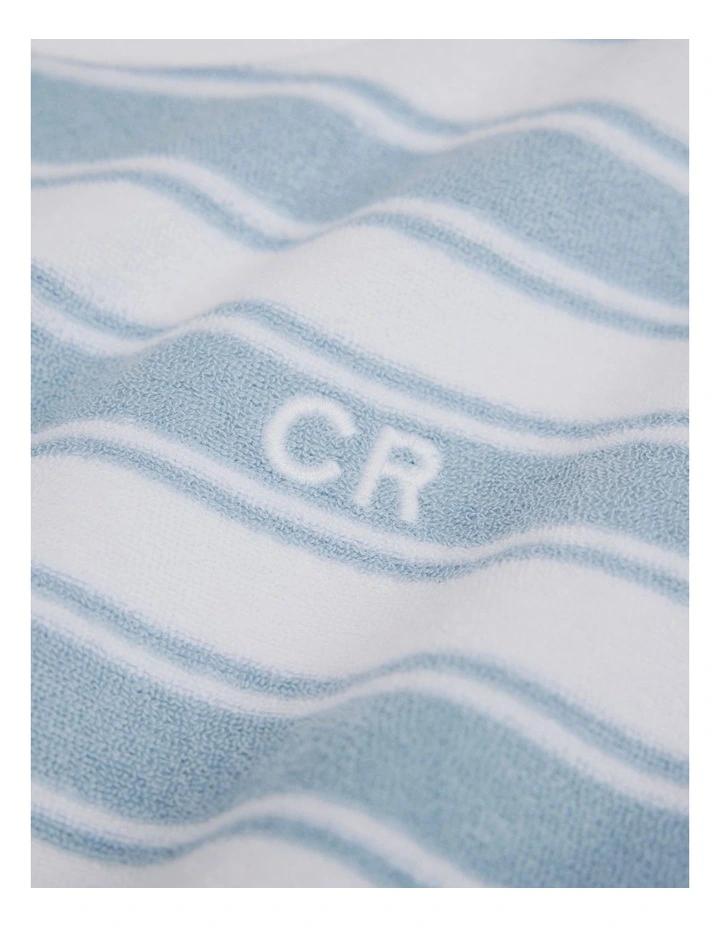 Organically Grown Cotton Relaxed Terry T-shirt in Ice Blue Stripe image 6