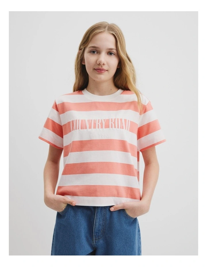 Heritage T-shirt in Strawberry Stripe image 1