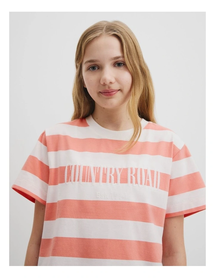 Heritage T-shirt in Strawberry Stripe image 3