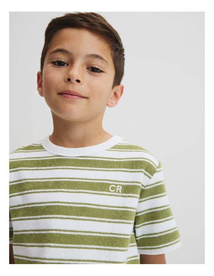 Organically Grown Cotton Relaxed Terry T-shirt in Pear Stripe image 2